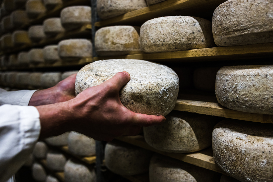 Fromagerie Darley